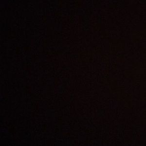 Meet your Posher, Rose